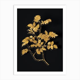 Vintage Sweetbriar Rose Botanical in Gold on Black n.0037 Art Print
