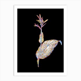 Stained Glass Indian Shot Mosaic Botanical Illustration on Black Art Print