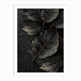 Black Leaves On A Black Background 1 Art Print