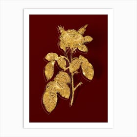 Vintage Red Gallic Rose Botanical in Gold on Red n.0409 Art Print
