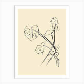 Monstera Swiss Cheese Plant Drawing Art Print