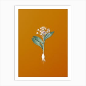 Vintage Pygmy Hyacinth Botanical on Sunset Orange Art Print