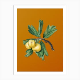 Vintage Hawthorne Botanical on Sunset Orange n.0570 Art Print