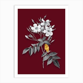 Vintage Musk Rose Black and White Gold Leaf Floral Art on Burgundy Red Art Print
