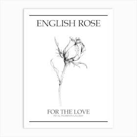 English Rose Black And White Line Drawing 6 Poster Art Print