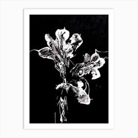 White Flower Black Background 2 Art Print