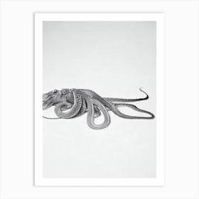 Pacific Octopus Black & White Drawing Art Print
