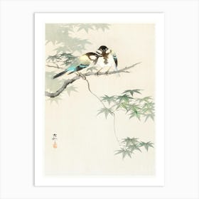 Great Tits On Maple Branch (1900 1936), Ohara Koson Art Print