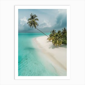 Palm Trees On The Beach Art Print