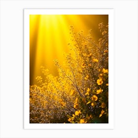 Yellow Flowers In The Sun Art Print