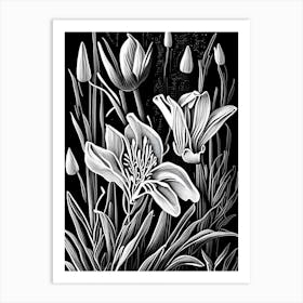 Prairie Gentian Wildflower Linocut Art Print