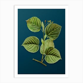 Vintage Linden Tree Branch Botanical Art on Teal Blue n.0560 Art Print