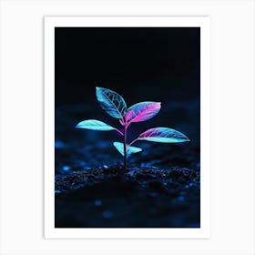 Plant Growing In The Dark 10 Art Print