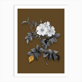Vintage White Rosebush Black and White Gold Leaf Floral Art on Coffee Brown n.0772 Art Print