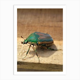 Beetle Art Print