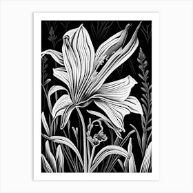 Mariposa Lily Wildflower Linocut 2 Art Print