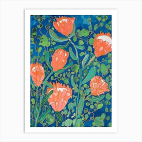 Coral Proteas Painted On Blue Art Print