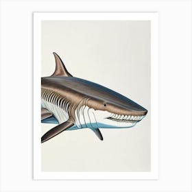 Sixgill Shark Vintage Art Print