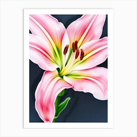 Pink Lily 7 Art Print