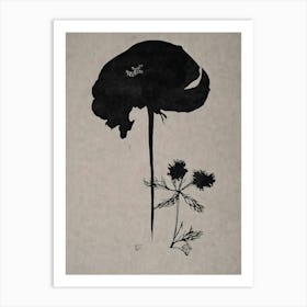 Black Poppy Art Print