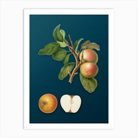 Vintage Pupina Apple Botanical Art on Teal Blue n.0151 Art Print