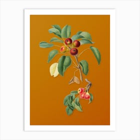 Vintage Musky Pear Botanical on Sunset Orange n.0419 Art Print