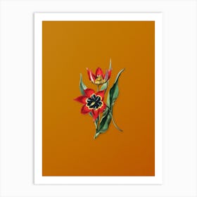 Vintage Red Strong Smelling Tulip Botanical on Sunset Orange n.0673 Art Print