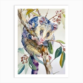 Opossum Colourful Watercolour 3 Art Print