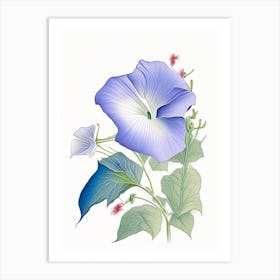 Morning Glory Floral Quentin Blake Inspired Illustration 1 Flower Art Print