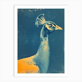 Blue & Orange Photo Style Peacock Art Print