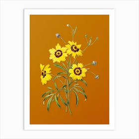 Vintage Coreopsis Elegans Botanical on Sunset Orange n.0786 Art Print