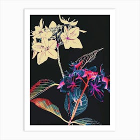 Neon Flowers On Black Hydrangea 2 Art Print