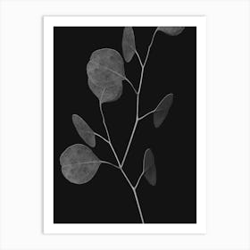 Eucalyptus Art Print