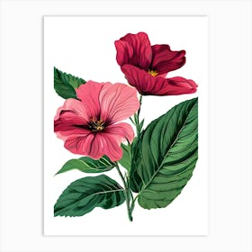 Hibiscus Flower Vector Illustration Art Print