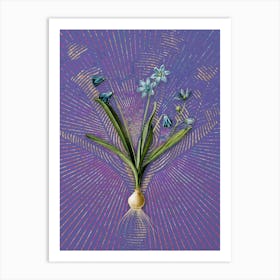 Vintage Scilla Amoena Botanical Illustration on Veri Peri n.0441 Art Print