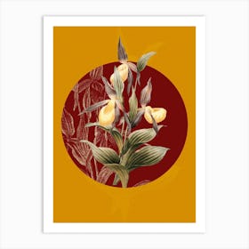 Vintage Botanical Sabot des Alpes on Circle Red on Yellow n.0176 Art Print