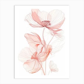 Poppy Flowers Art Print