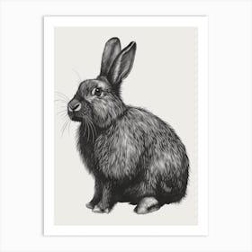 English Angora Blockprint Rabbit Illustration 4 Art Print