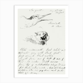 Seagull (1874), John Singer Sargent Art Print