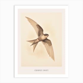 Vintage Bird Drawing Chimney Swift Poster Art Print