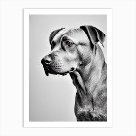 Cane Corso B&W Pencil Dog Art Print