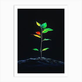 Tree In The Dark 16 Art Print