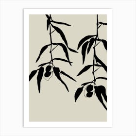 Olive Twigs Art Print