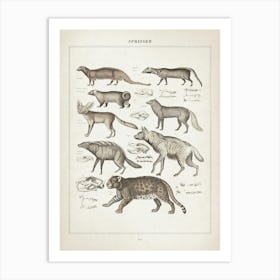 Vintage Oken 1 Springer Art Print