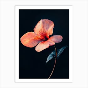 Hibiscus Flower 6 Art Print