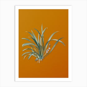 Vintage Sansevieria Carnea Botanical on Sunset Orange n.0520 Art Print