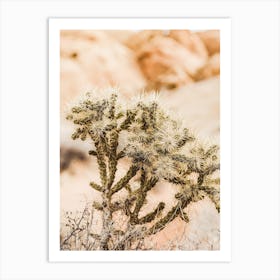 Rattail Cactus Art Print