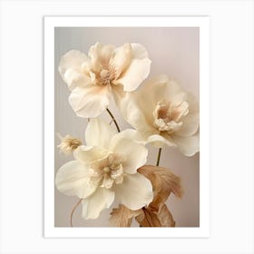 Boho Dried Flowers Hellebore Art Print