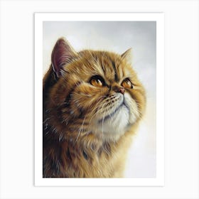 Exotic Shortrhair Cat Painting 4 Art Print