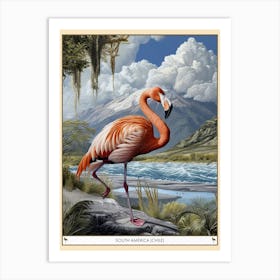 Greater Flamingo South America Chile Tropical Illustration 4 Poster Art Print